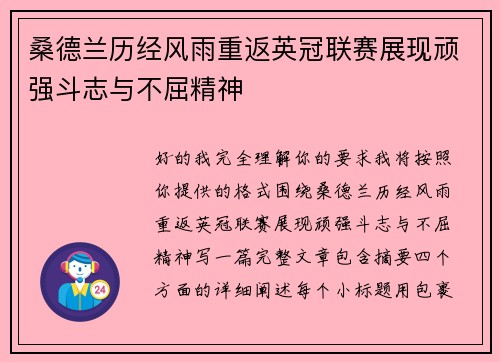 桑德兰历经风雨重返英冠联赛展现顽强斗志与不屈精神